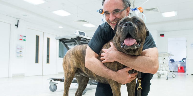 Professor Noel Fitzpatrick, is a world-class orthopaedic-neuro veterinary surgeon.